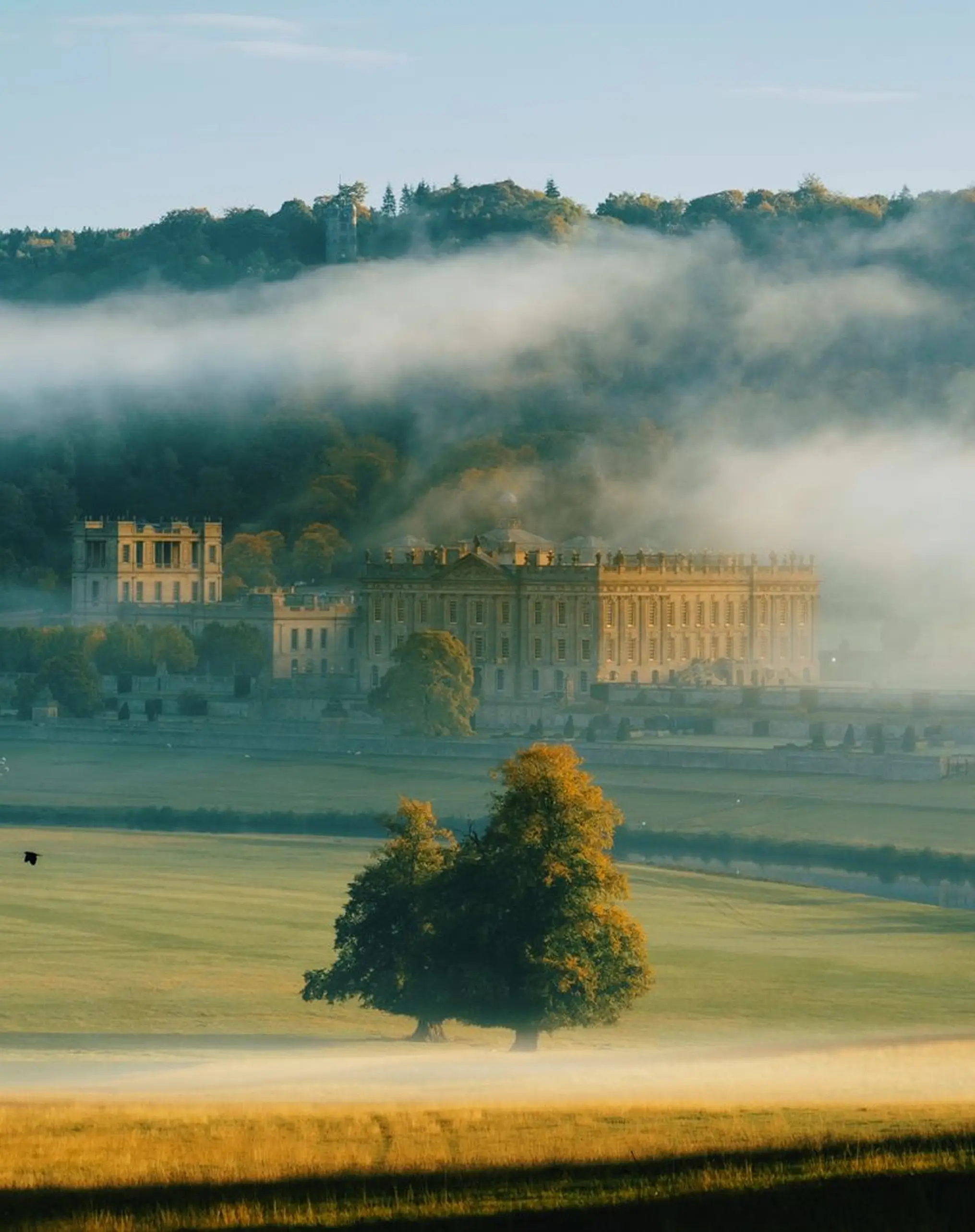Blenheim Experience